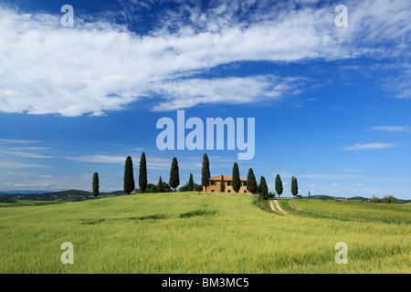 Agriturismo in Toscana, Italia Foto Stock