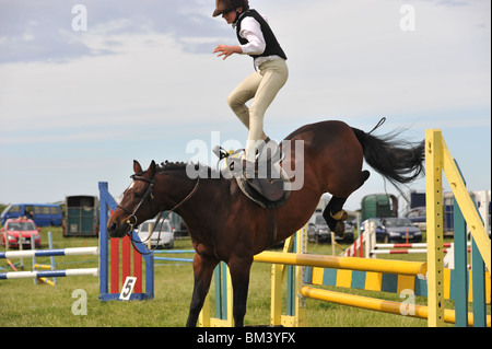 Cavaliere a cavallo che sta per cadere da un pony durante showjumping Foto Stock