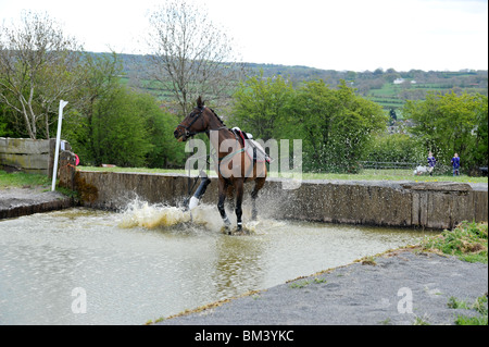 Rider la caduta di un cavallo in acqua Foto Stock