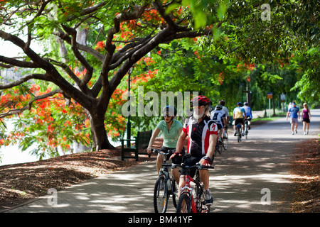 I ciclisti nella Città Giardino Botanico. Brisbane, Queensland, Australia Foto Stock