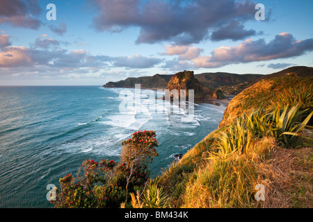 Piha Beach e Lion Rock al tramonto. Piha, Waitakere gamme Parco Regionale, Auckland, Isola del nord, Nuova Zelanda Foto Stock