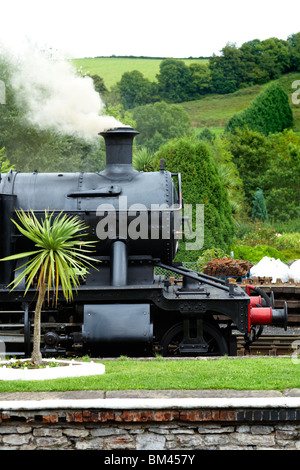 Motore a vapore, Buckfastleigh stazione ferroviaria. Foto Stock