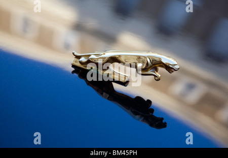 Il Mascot sul cofano della Jaguar, Londra Foto Stock