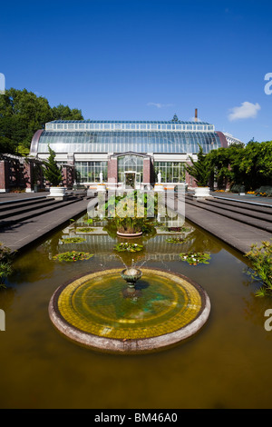 Wintergarden cortile e serra il dominio. Auckland, Isola del nord, Nuova Zelanda Foto Stock