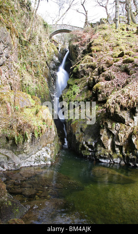 Aira Force cascata nel Parco Nazionale del Distretto dei Laghi, Cumbria, Inghilterra Foto Stock