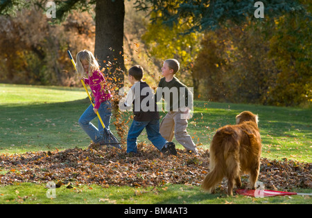 I bambini la rastrellatura e giocando in foglie di autunno Foto Stock