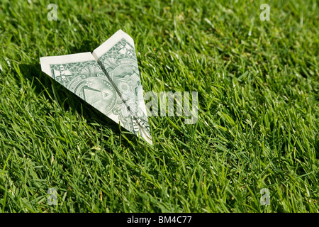 US Dollar aeroplano e l'erba verde, concetto di conservazione ambientale Foto Stock