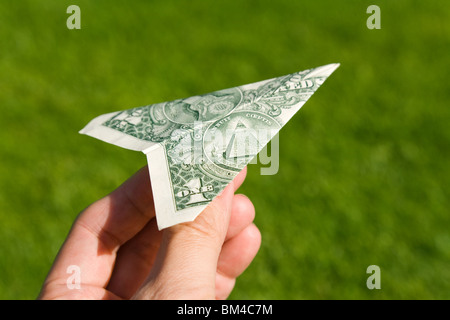 US Dollar aeroplano e l'erba verde, concetto di conservazione ambientale Foto Stock