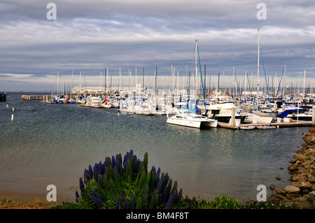 Il Pontile del Pescatore, Monterey, California, USA. Foto Stock