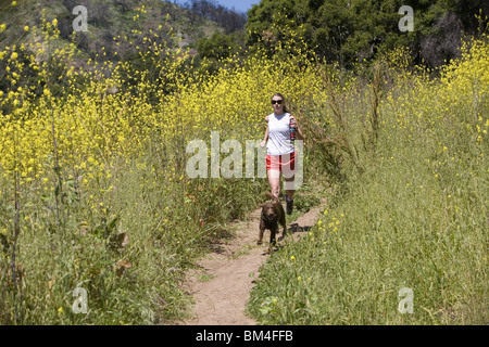 Un sentiero per la primavera in esecuzione su Jesusita Trail. Foto Stock