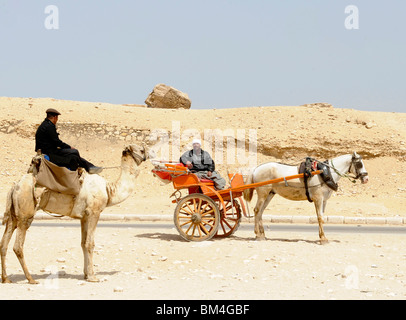 Polizia stradale sul suo cammello,Piramidi di Giza, Necropoli di Giza confinanti con che cosa ora è El Giza, Cairo , Egitto Foto Stock