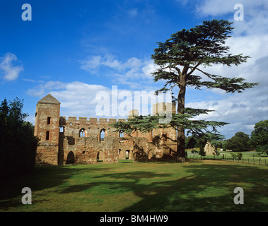 Resti di Acton Burnell Castello, fortificata del maniero risalente al XIII secolo Foto Stock