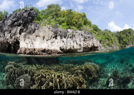 Shallow Coral Reef, Raja Ampat, Papua occidentale, in Indonesia Foto Stock