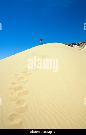 Turistico a 50 metri di dune nel deserto nero, Deserto Libico, Egitto Foto Stock