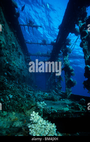 Il corrimano del relitto Umbria, Wingate Reef, Mar Rosso, Sudan Foto Stock