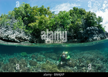 Lo snorkeling a shallow Coral Reef, Raja Ampat, Papua occidentale, in Indonesia Foto Stock