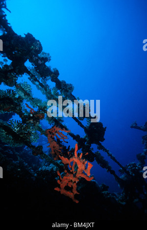 Il corrimano del relitto Umbria, Wingate Reef, Mar Rosso, Sudan Foto Stock