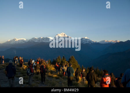 I turisti osservare il tramonto sul Dhaulagiri mountain range a Poon Hill, Ghorepane, Circuito di Annapurna, Nepal Foto Stock