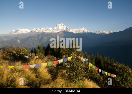 La mattina presto il sole sul Dhaulagiri mountain range a Poon Hill, Ghorepane, Circuito di Annapurna, Nepal. Ha pregato bandiere in primo piano Foto Stock