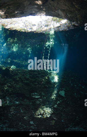 Ingresso della Gran Cenote, Tulum, la penisola dello Yucatan, Messico Foto Stock