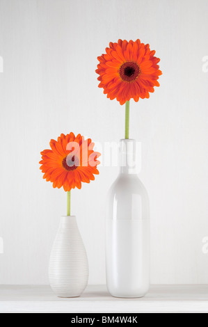 Still Life - orange gerbera in vaso bianco con sfondo bianco. 3 serie di 3. Foto Stock