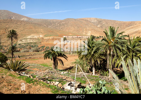 Opere di irrigazione a secco, Rocky, vulcanico interno dell'isola sud di Betancuria sull'isola delle Canarie di Fuerteventura Foto Stock