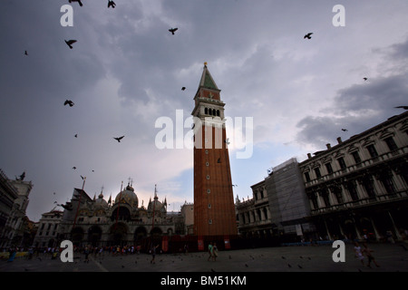 Piccioni di Piazza Sam Marco (Piazza San Marco) sono nascosti da sotto la pioggia. Venezia, Italia settentrionale. Foto Stock