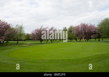 West Herts Campo da Golf, Watford, Hertfordshire Foto Stock