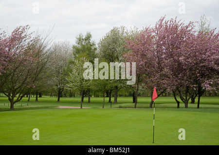 West Herts Campo da Golf, Watford, Hertfordshire Foto Stock