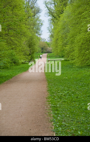 Jogging su un percorso attraverso il West Herts Campo da Golf, Watford, Hertfordshire, Regno Unito Foto Stock