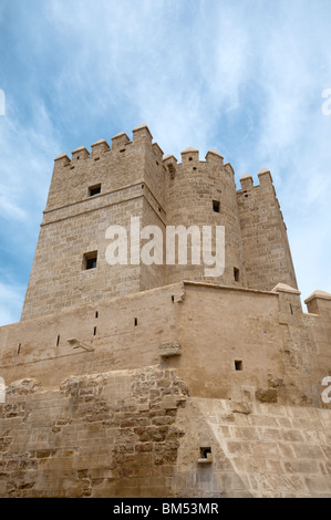 Torre de la Calahorra in Cordoba Foto Stock