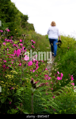 Una donna cammina lungo un percorso di paese sulle colline sopra Polperro con fiori selvatici in fiore Foto Stock