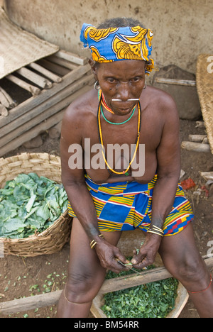 Bedik africani le donne con velo tagliare le verdure per la cottura, Iwol village, paese Bassari, Senegal Africa. Foto Stock