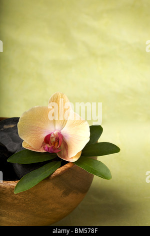 Zen-come la scena con fiore, spazio di copia Foto Stock