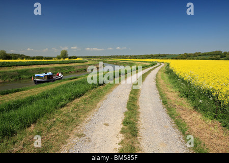 Imbarcazioni da diporto di Danny Lee sul fiume Rother. Foto Stock