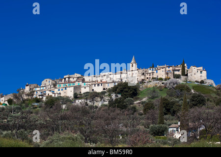 Montfort, Alta Provenza villaggio sulla cima di una collina circondata da oliveti, Francia meridionale Foto Stock