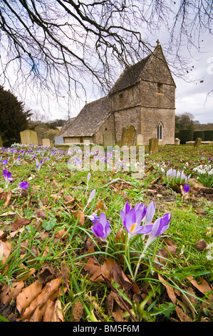 La Chiesa di San Pietro, Duntisbourne Abbots, Cotswolds, Gloucestershire, Regno Unito Foto Stock