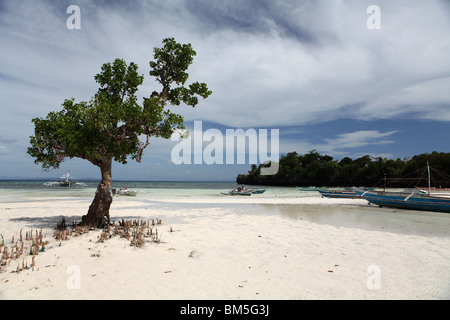 Una spiaggia locale nel nord dell isola di Malapascua, una piccola isola nella regione di Visayas nelle Filippine Foto Stock