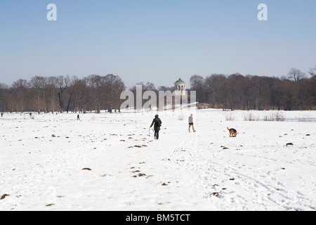 La gente a piedi il loro cane in Englischer Garten nel centro di Monaco di Baviera, Germania. Foto Stock