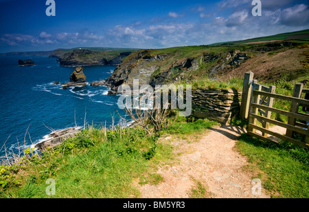 Lungo la costa sud occidentale il percorso nei pressi di Boscastle nel North Cornwall, England, Regno Unito Foto Stock