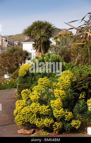 Regno Unito, Inghilterra, Devon, Ilfracombe, lungomare giardini Foto Stock