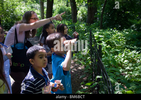 Primo grado studenti vanno birdwatching nel Central Park di New York con un binocolo fatti in casa Foto Stock