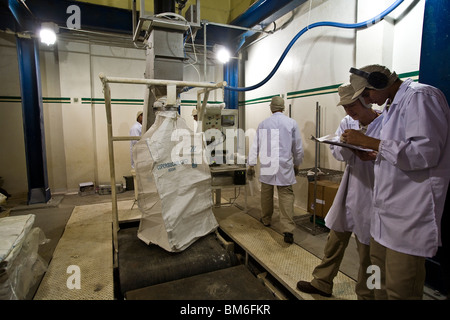 Sao Francisco etanolo e impianto di zucchero. La produzione di zucchero processo. Carico di sacchi con lo zucchero per l'esportazione. Foto Stock