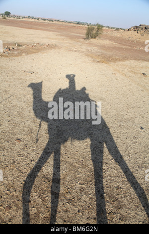 L'ombra di un cammello su un cammello safari nel Grande deserto di Thar al di fuori di Jaisalmer, Rajasthan in India. Foto Stock