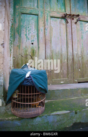 Birdcage in Fuli città vicino a Guilin e Yangshuo nella provincia di Guangxi, Cina Foto Stock