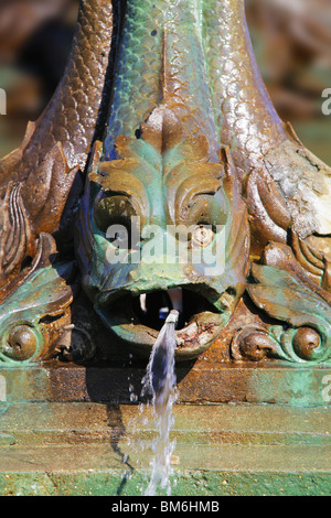 Dettaglio di un arrugginito gargoyle sgorga acqua Foto Stock