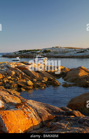 Lichene arancione su rocce costiere, barche da pesca ormeggiate nel Gulch e Governatore Isola, Bicheno, Est della Tasmania, Australia Foto Stock