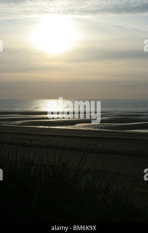 Tramonto di seppia Foto Stock