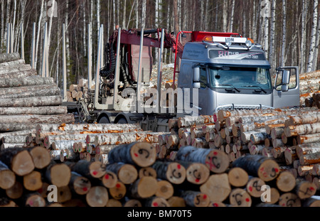 Registrazione finlandese carrello tra betulla pile di registro nel registro del punto di raccolta , Finlandia Foto Stock