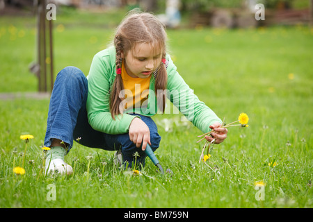 Bambina lavora in giardino, ripulendo dalle erbacce di tarassaco da prato Foto Stock